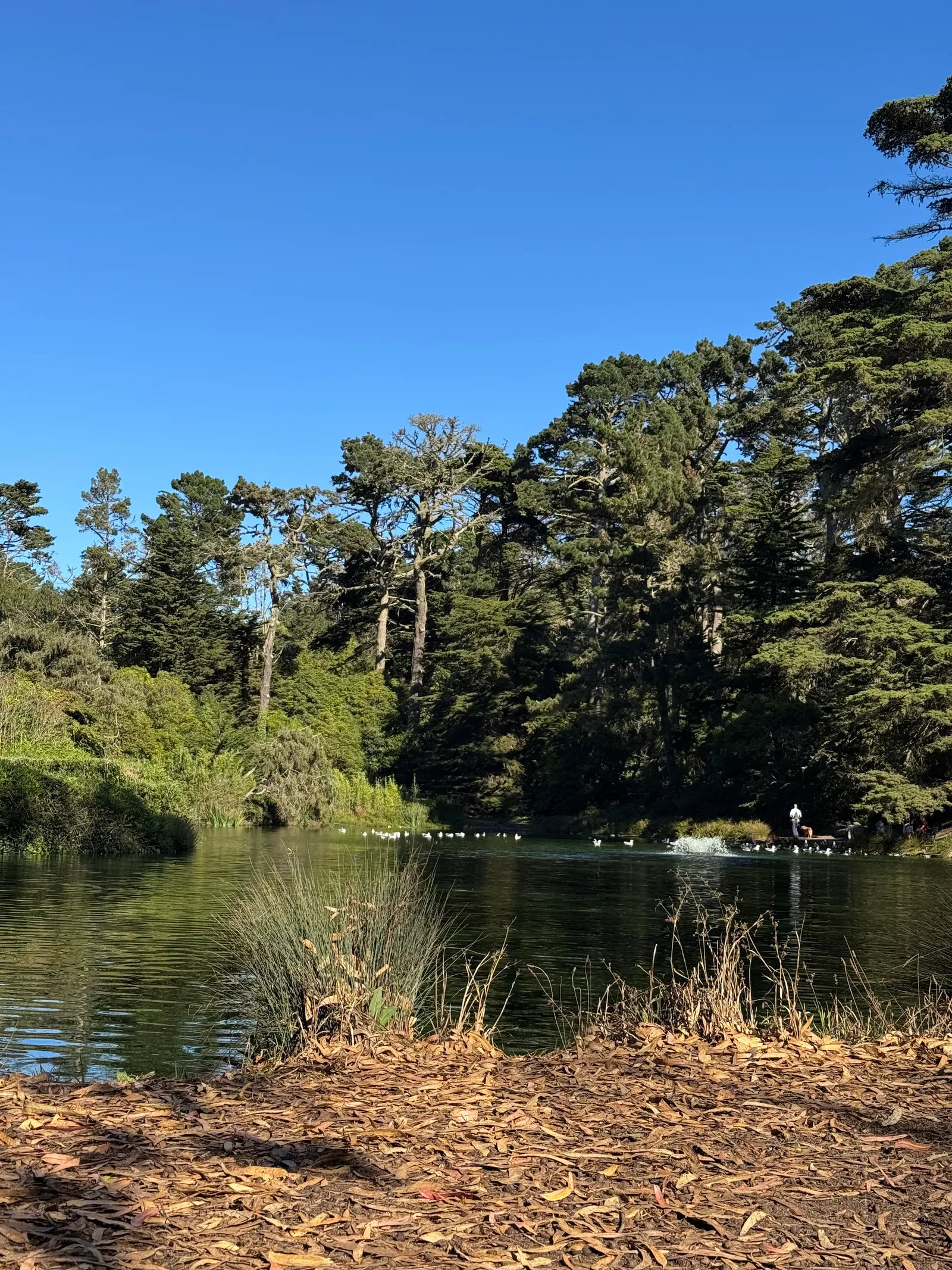 Parkside, United States — 20 October 2025