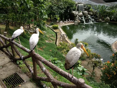 Photo from 27 December 2017