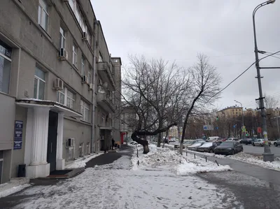 Photo from 3 March 2016