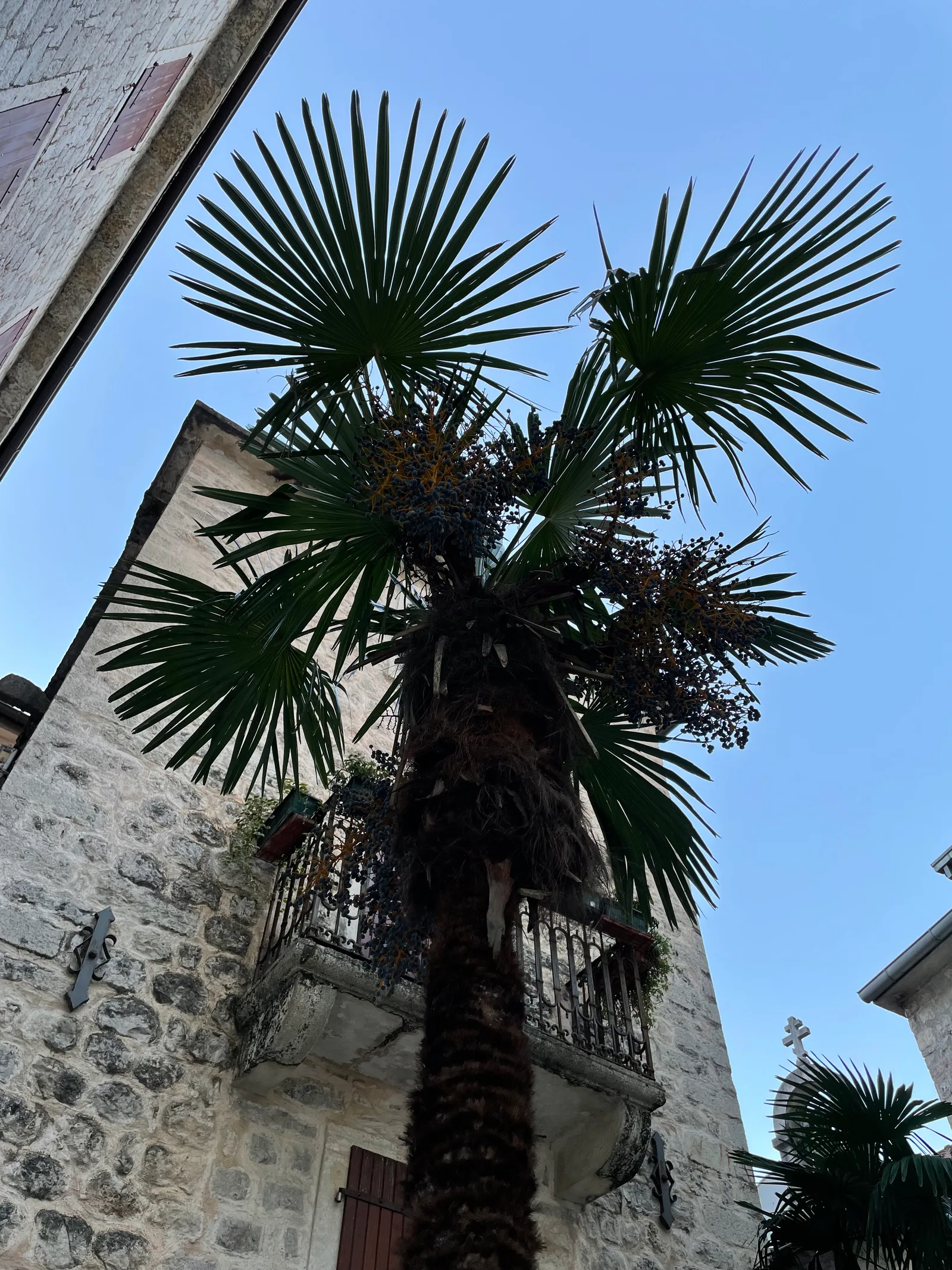 Kotor, Montenegro — 2 January 2022