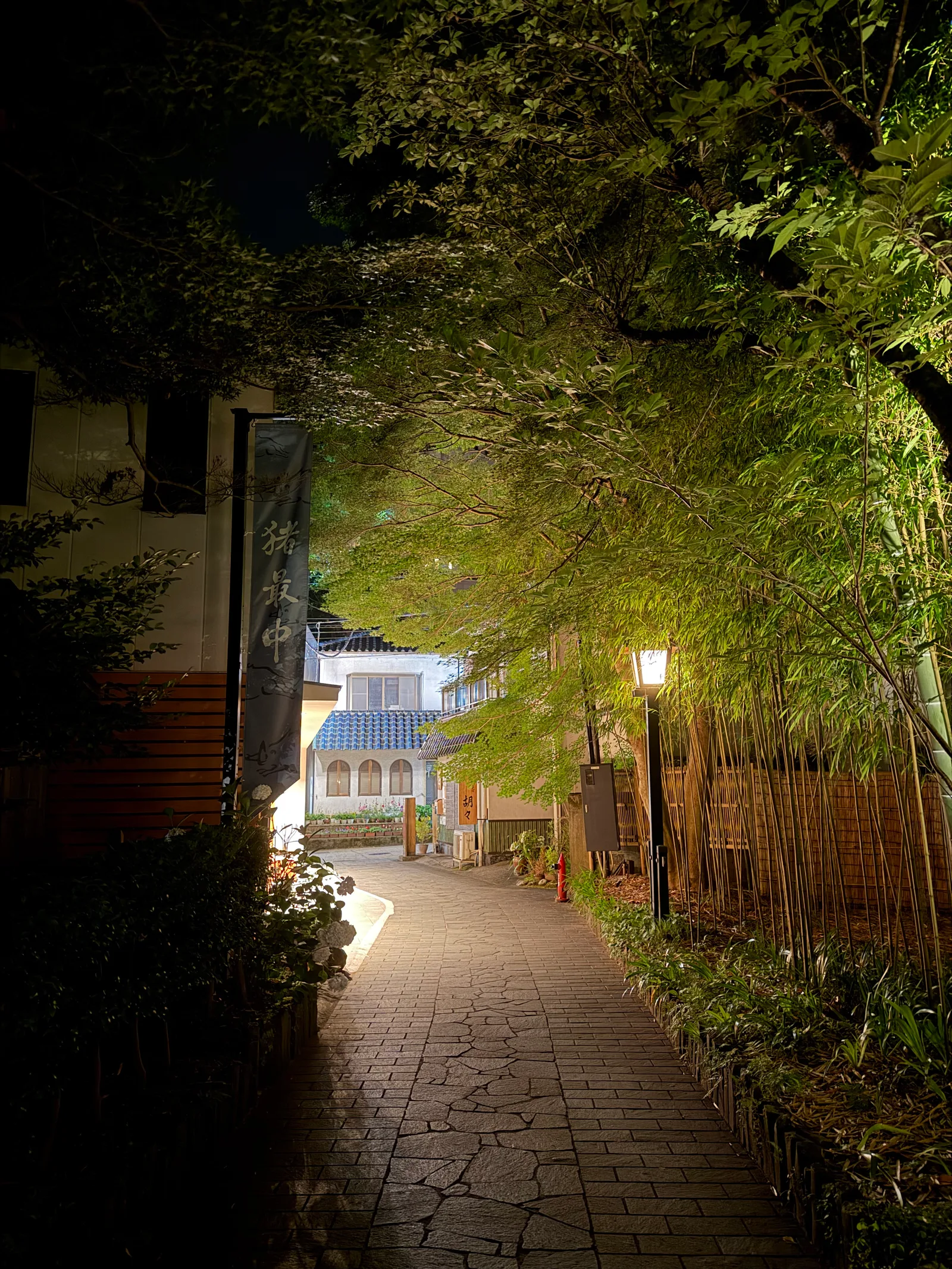 Shuzenji, Japan — 17 June 2026