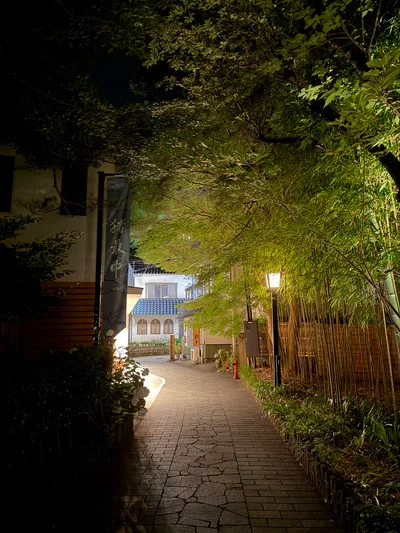 Shuzenji, Japan — 17 June 2026