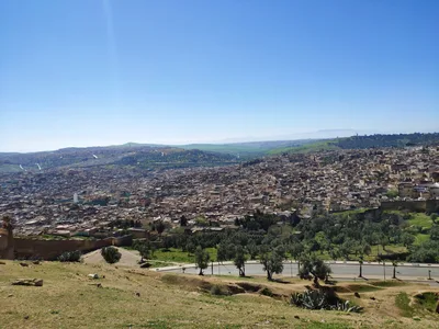 Photo from 14 March 2019