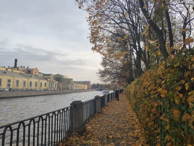 Saint Petersburg, Russia — 20 October 2018